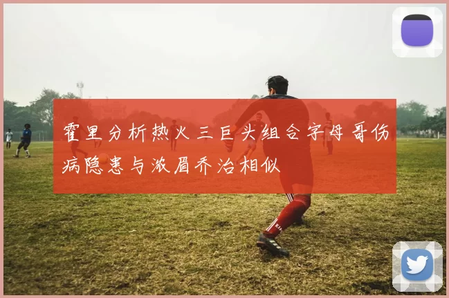 霍里分析热火三巨头组合字母哥伤病隐患与浓眉乔治相似