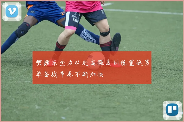 樊振东全力以赴高强度训练重返男单备战节奏不断加快